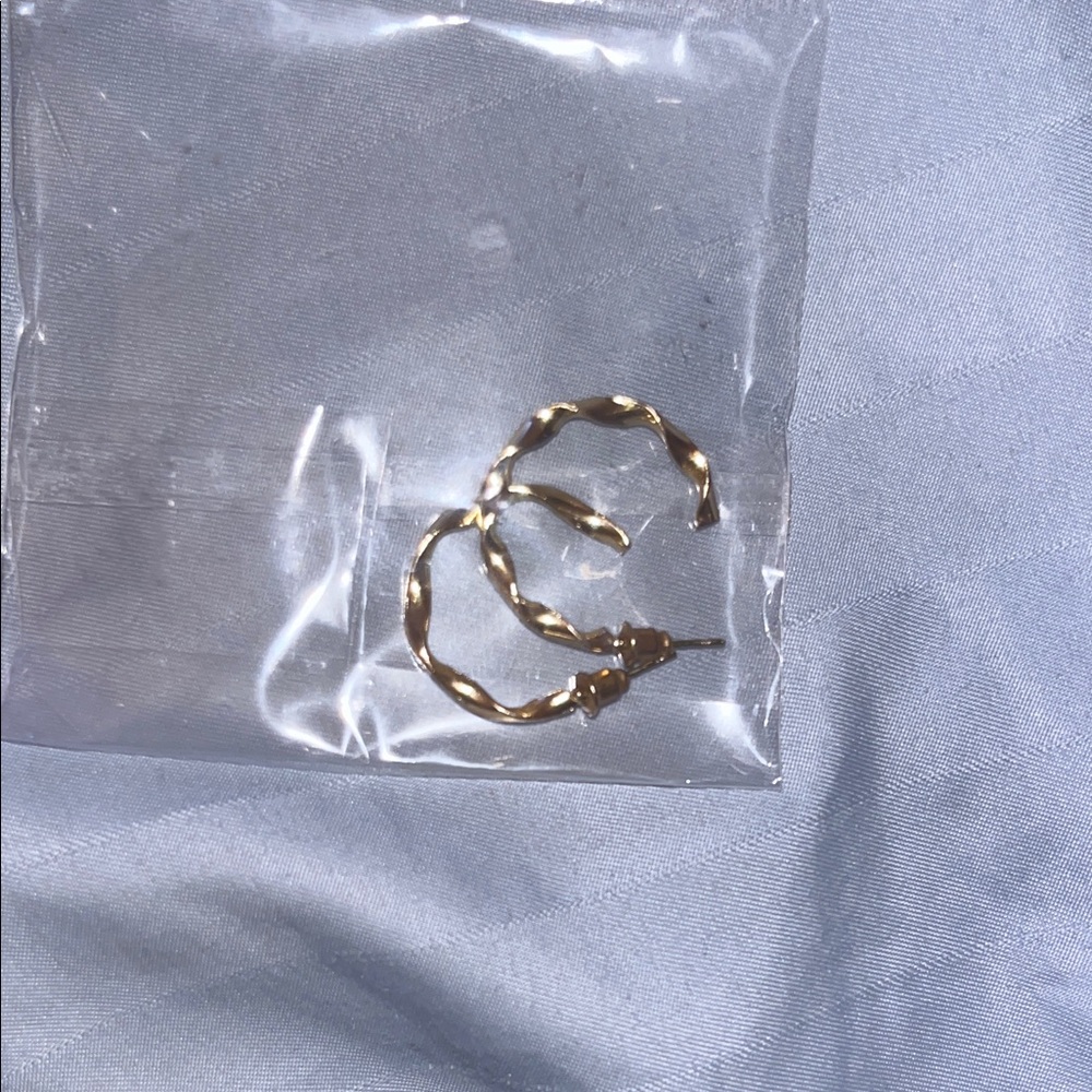Chic Gold Twisted Hoop Earrings
